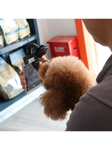 Capture Joyful Moments with Your Furry Best Friend