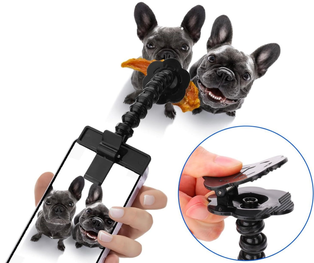 Pet Selfie Stick for Dogs Cat photography tools Pet Interaction Toys Concentrate Training Supplies Dog Accessories Drop Shipping